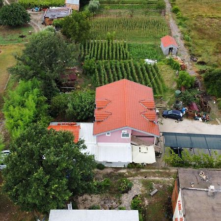 Apartman Balsa Котор Экстерьер фото